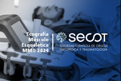 Curso de Ecografía Musculoesquelética e Intervencionismo Ecoguiado en Miembro Inferior 2024