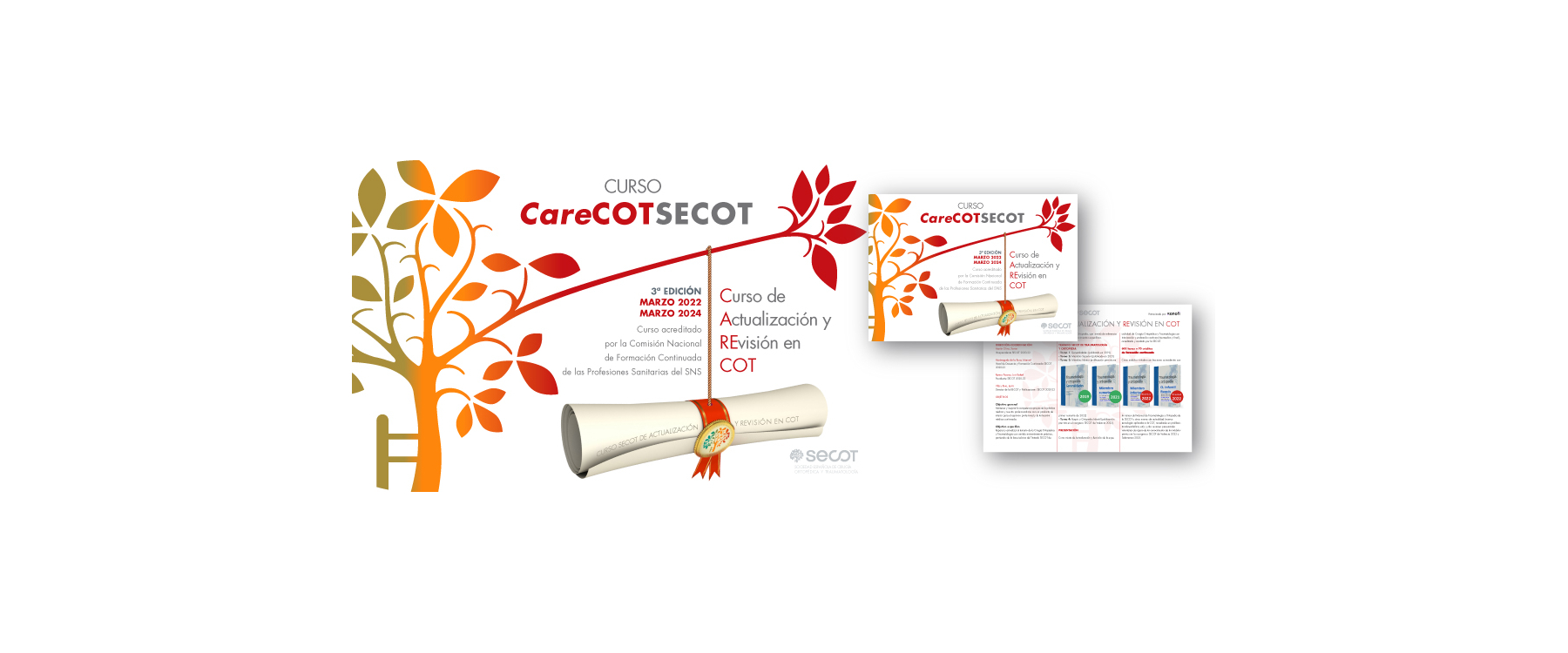 Curso de Actualización y Revisión en COT 2024-2026 Bloque 5 - Ortopedia Infantil